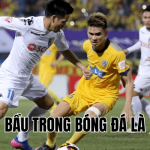 Bầu Trong Bóng Đá Là