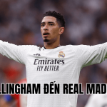 Bellingham Đến Real Madrid