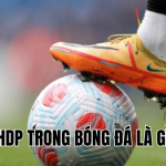 HDP Trong Bóng Đá Là Gì
