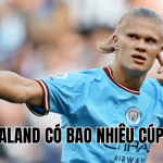 Haaland Có Bao Nhiêu Cúp C1