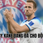 Harry Kane Đang Đá Cho Đội Nào