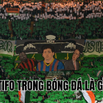 Tifo Trong Bóng Đá Là Gì